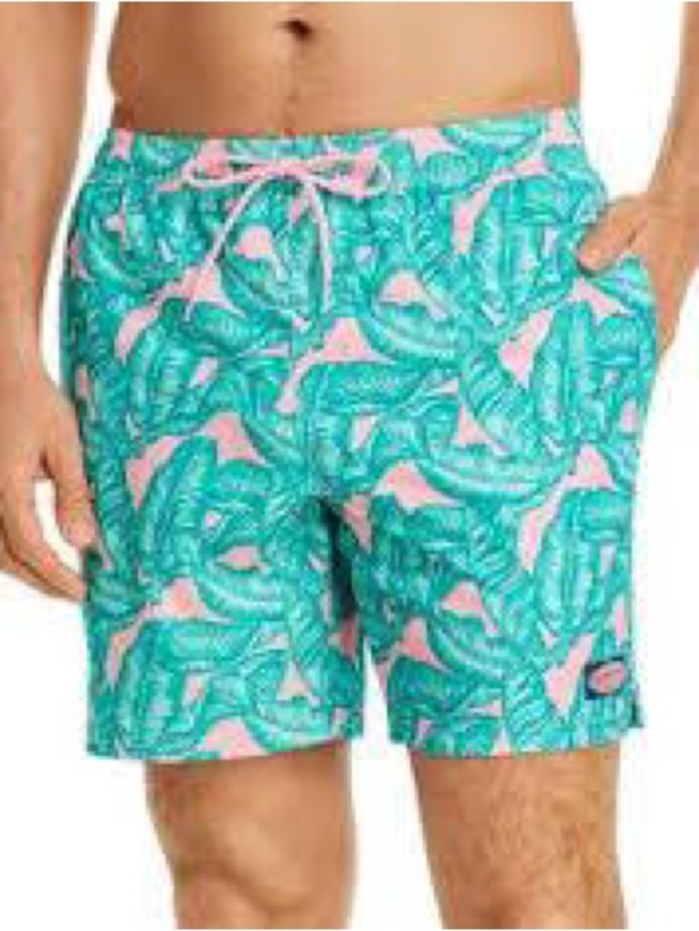 Vineyard Vines Men's Banana Leaf Printed Chappy Swim Trunks Green Pink XS